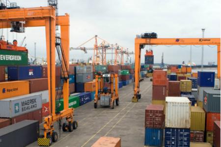 El Ejecutivo tiene razones que la Constitución no entiende