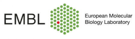 Convocatoria a becas Post Doctorales