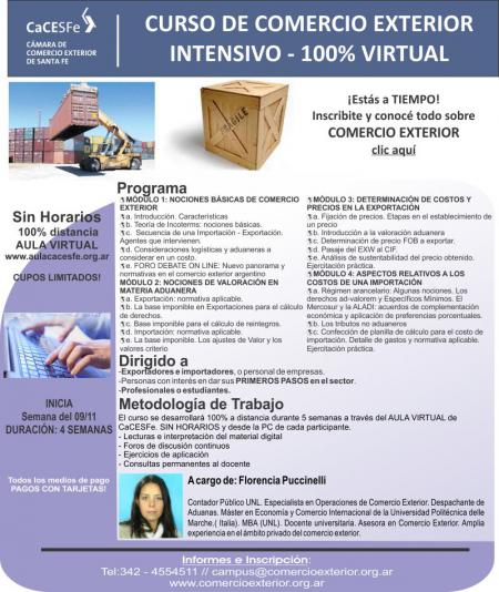 Curso a distancia de Comercio Exterior 