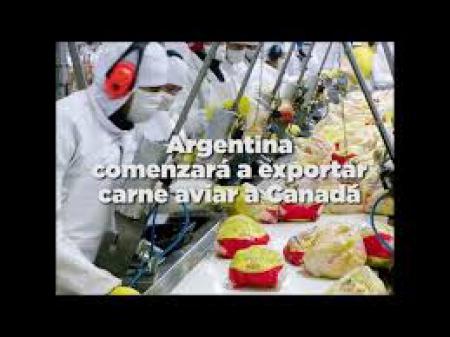Argentina comenzará a exportar carne aviar a Canadá