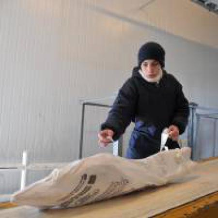 Apertura del mercado de Japón para la carne bovina y ovina de la Patagonia