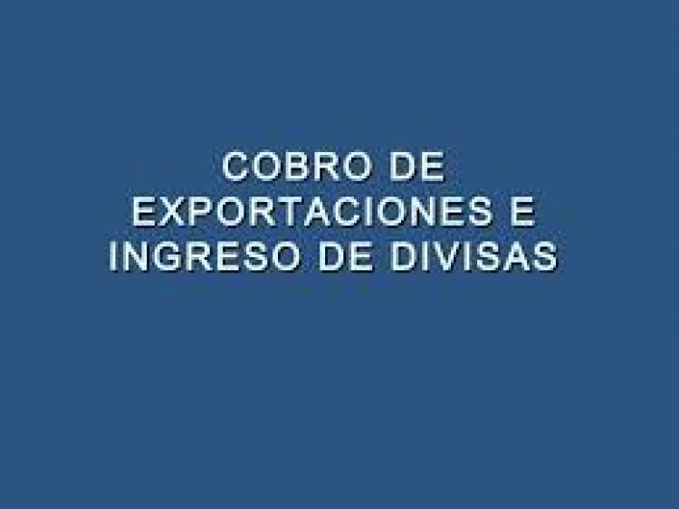Vuelven a exigir el ingreso y negociación de las divisas de exportación para cobrar los reintegros
