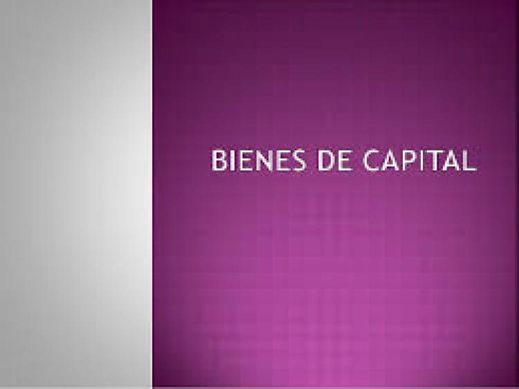 El BCRA aumenta a 270 dÃ­as el plazo para que los bienes de capital ingresen al paÃ­s
