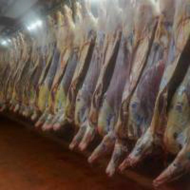 Estados Unidos aprobó la auditoría al sistema de inspección de carnes bovinas argentino