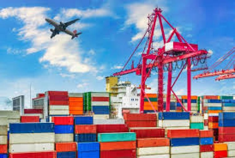 Se establece el detalle y el procedimiento para Autorizar Actividades de Producción y de Exportación