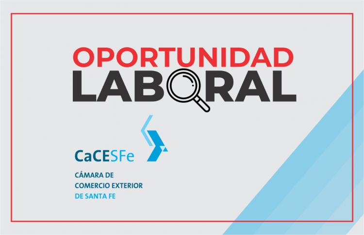 Búsqueda laboral para Empresa Socia