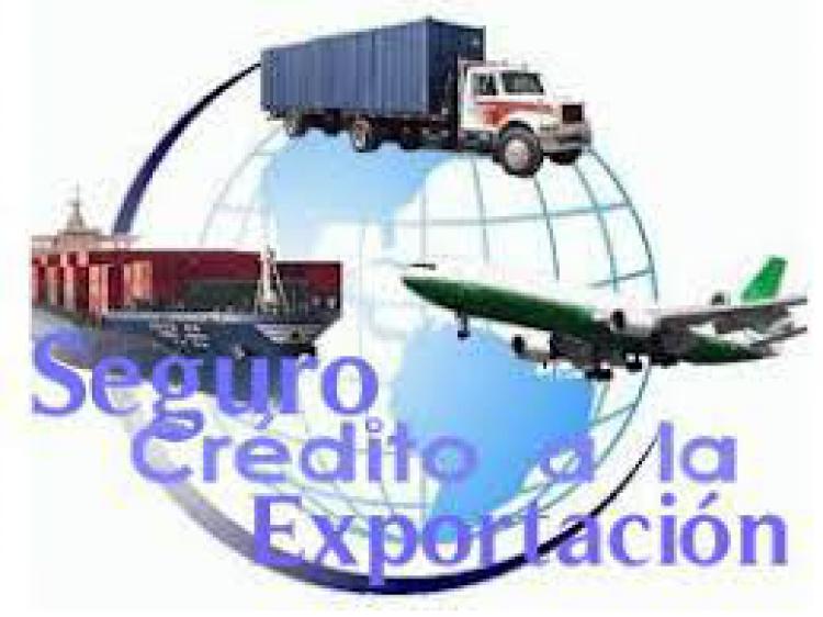 Todo lo que necesitás saber sobre la Herramienta Seguro de Crédito