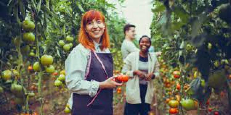 10 principales tendencias en alimentos y bebidas 