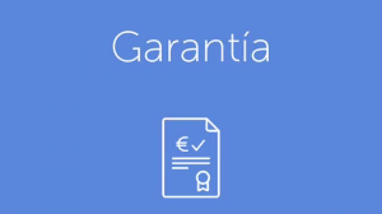 Emision/Pago De Garantías Financieras A Favor De No Residentes Por Contrato De Obras O Provisiones De Bienes O De Servicios