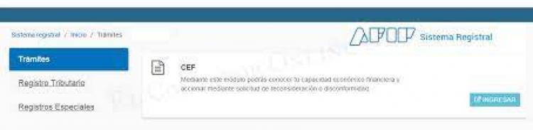 Capacidad Económica Financiera: todas las preguntas, todas las respuestas