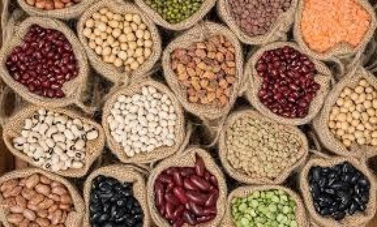 Oportunidades comerciales para las cadenas de valor: LEGUMBRES