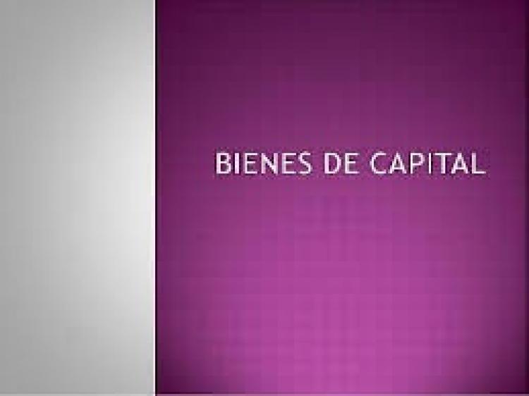 Dto 781: cambia Anexo X del Decreto 557 derechos de importación extrazona y elimina el artículo 8 que trataba sobre derechos transitorios para juguetes.