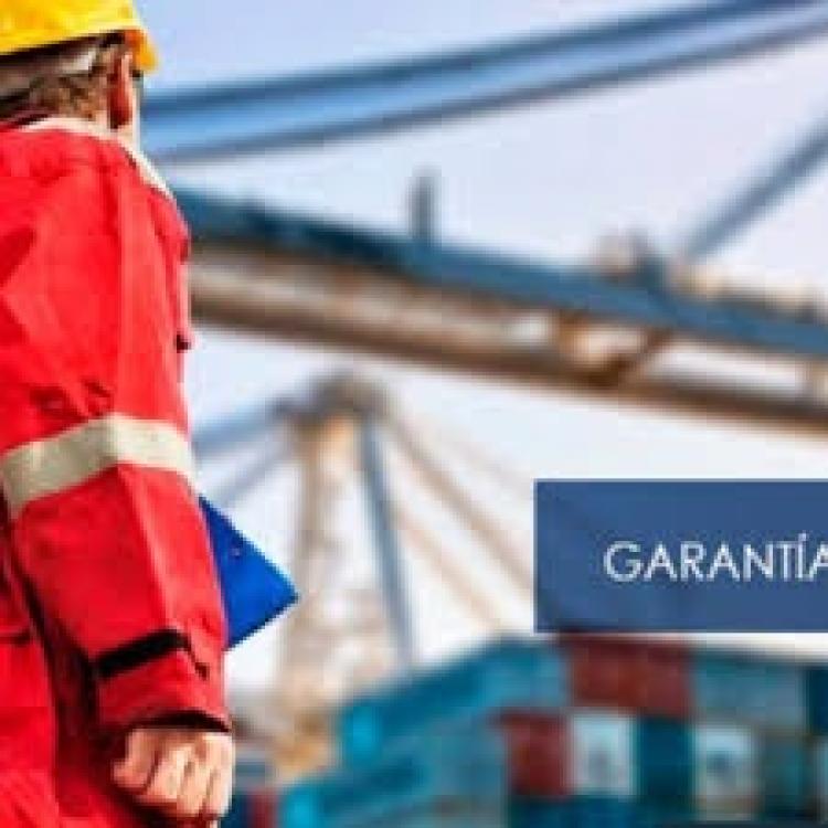 Reemplazo de la Garantía Aduanera por DDJJ del Interesado